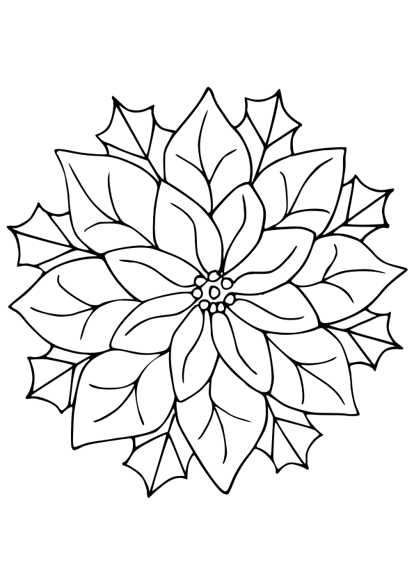 Poinsettia2 free coloring pages for kids