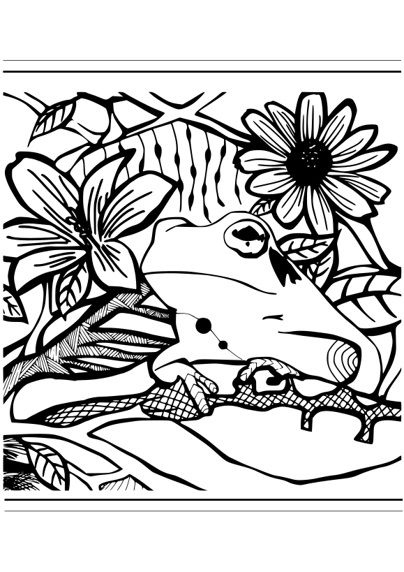 Premium11 Frog and Flowers free coloring pages for kids