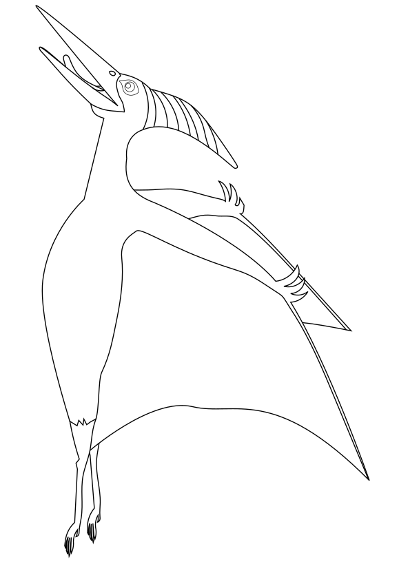 Pteranodon free coloring pages for kids