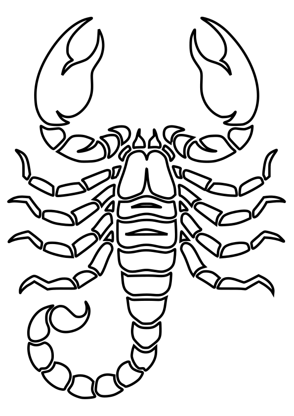 Scorpion 2 free coloring pages for kids