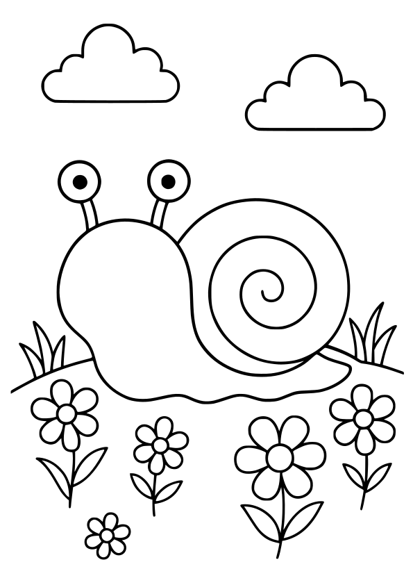 snail 4 free coloring pages for kids