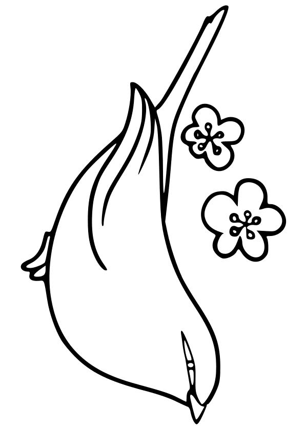 Warbler Bird free coloring pages for kids
